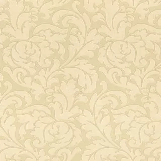Image-product