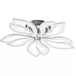 Image-product