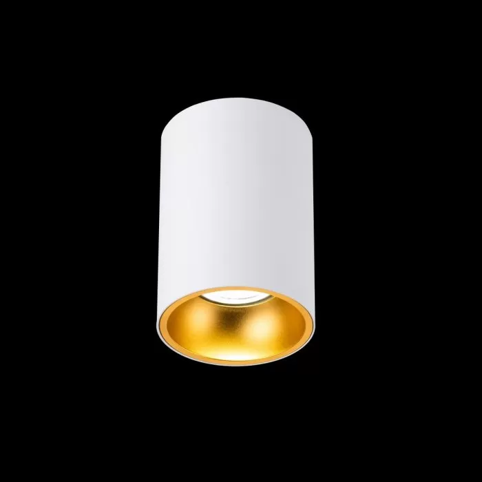 LP981-1C Downlight iTech Lampardi MR16/35W/220V/D70*100 CE IP20 - img 2