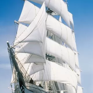 2-1017 Sailing Boat 86*220 cm