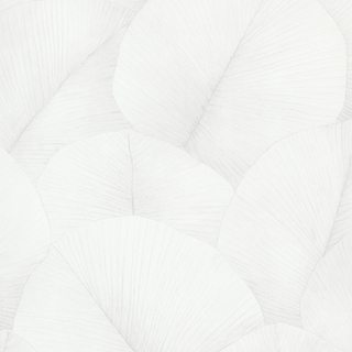Image-product