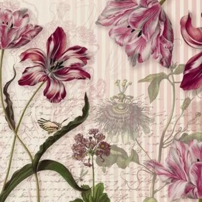8NW-510 Merian 368x254 cm - img 1