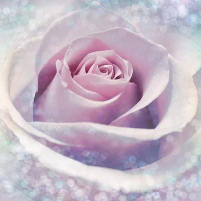 XXL2-020 Delicate Rose 184*248 cm - img 1
