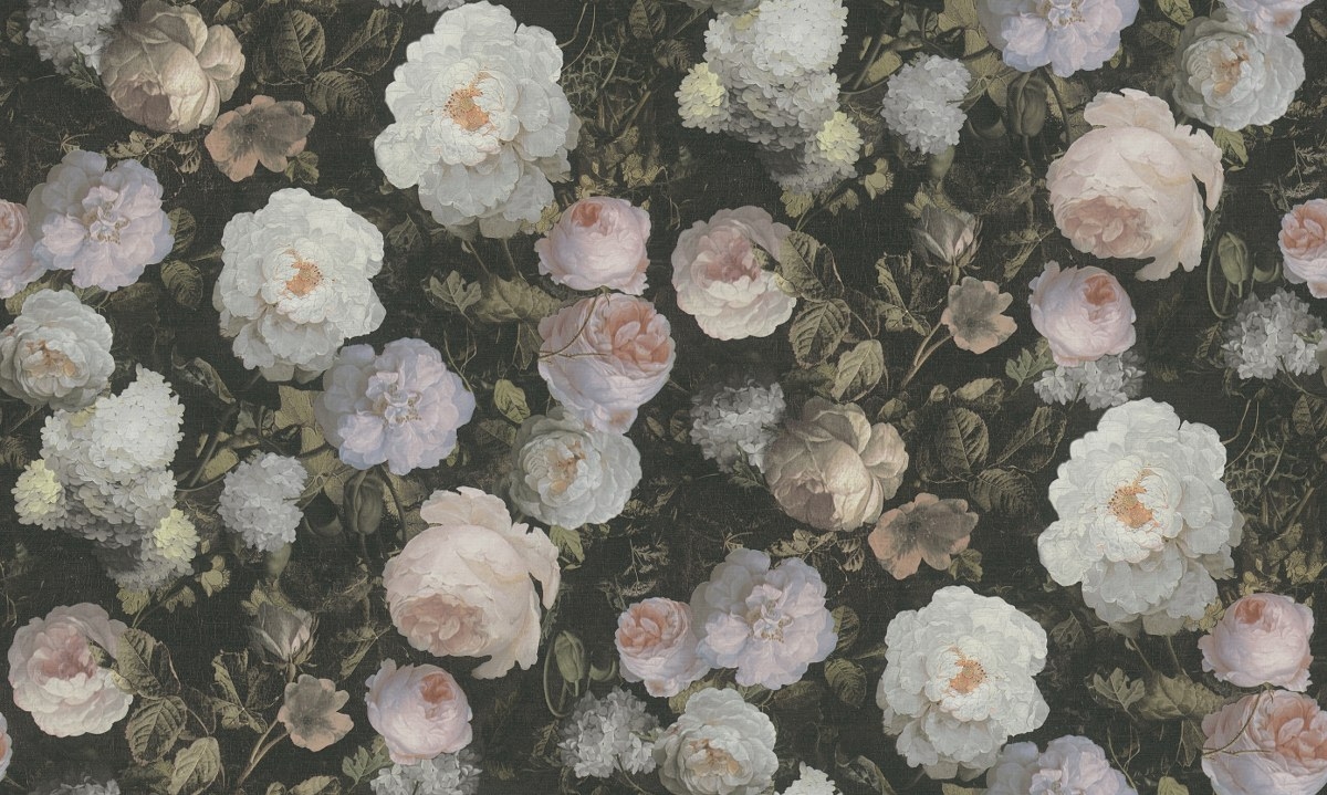 Image-product