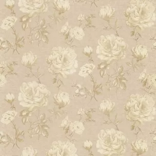 Image-product
