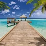 8-921 Beach Resort 368*254 cm - img 1