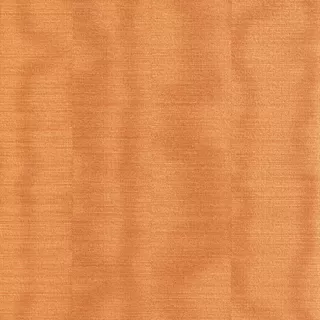 7840 Tapete Alta Moda 0.53 m