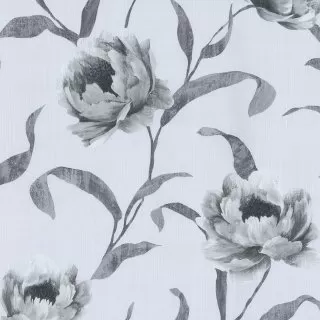 Image-product