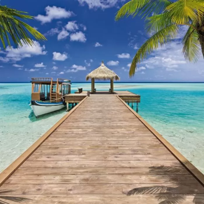 8-921 Beach Resort 368*254 cm - img 1