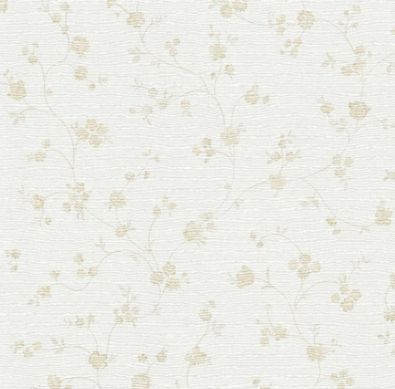 Image-product