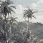 R2-006 The Exotic Land 200*280cm - img 2