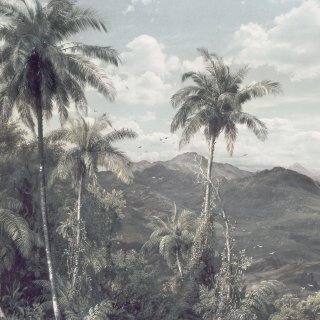 R2-006 The Exotic Land 200*280cm