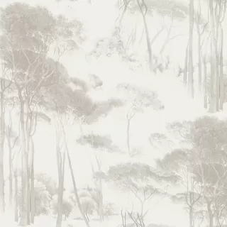 Image-product