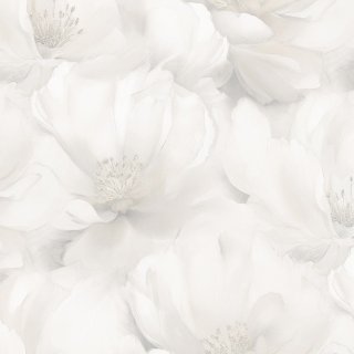 Image-product