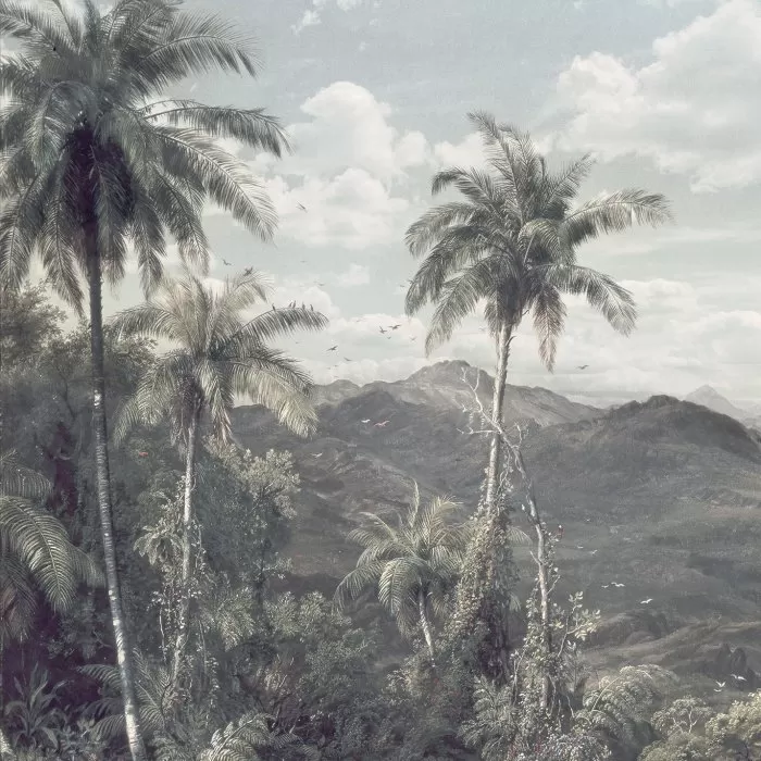 R2-006 The Exotic Land 200*280cm - img 1