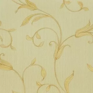 Image-product