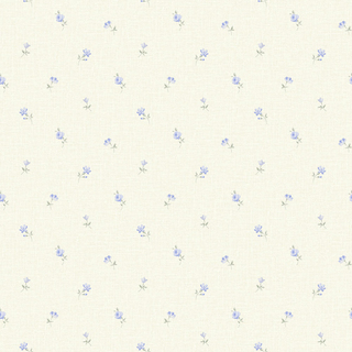 Image-product