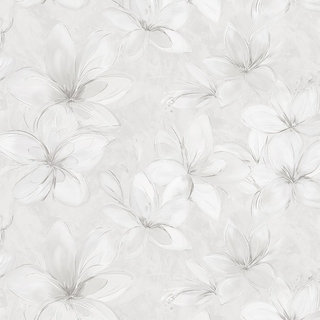 Image-product