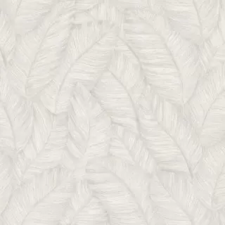 Image-product