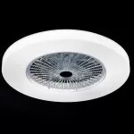 FL595-D55 Lustra Fan Flitz  - img 3