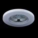 FL595-D55 Lustra Fan Flitz  - img 2