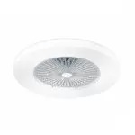 FL595-D55 Lustra Fan Flitz  - img 1