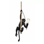 FL6582-1P Suspensie Monkey Flitz  - img 1