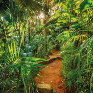 8-989 Jungle Trail 368*254 cm
