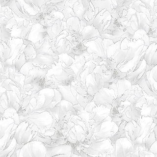 Image-product