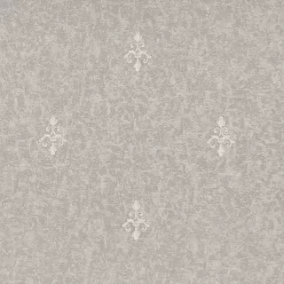 Image-product