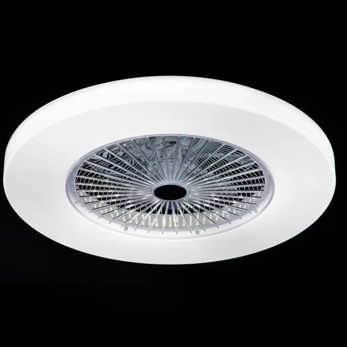 FL595-D55 Lustra Fan Flitz  - img 3