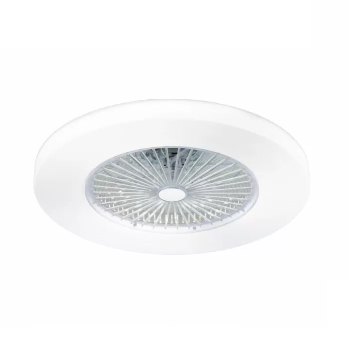 FL595-D55 Lustra Fan Flitz  - img 1