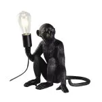 FL6582-1T Veioza Monkey Flitz  - img 2