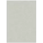 482 - 597660 Covor Lustrous 080 x 150 Verbatex - img 1