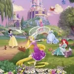 4-4026 Disney Princess Sunset 184*254cm - img 1