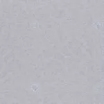 77917 Tapete Camea 1.06 m - img 1