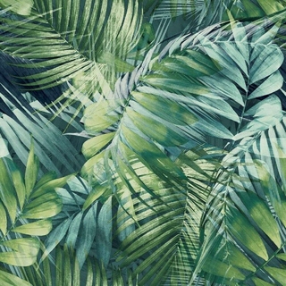 Image-product