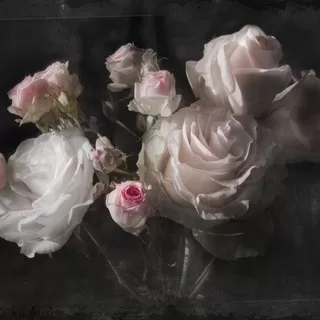 4-876 Eternity 184*254cm