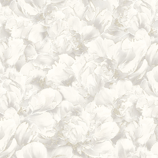 Image-product