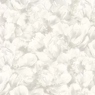 Image-product