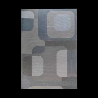 96016-2005 Covor Newport 160 x 230 Ragolle