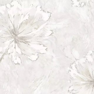 Image-product
