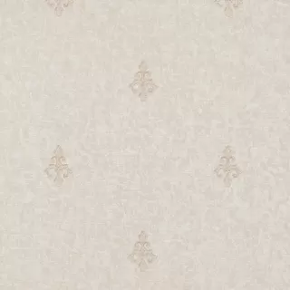 Image-product