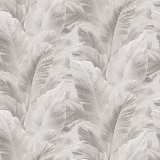 Image-product