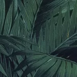 X4-1027 Jungle Night 200*250cm - img 2