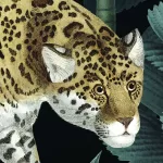 X4-1027 Jungle Night 200*250cm - img 3