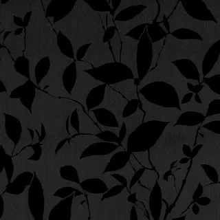 Image-product
