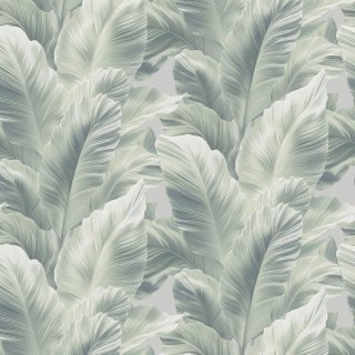 Image-product