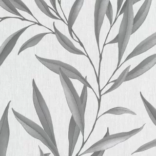 Image-product