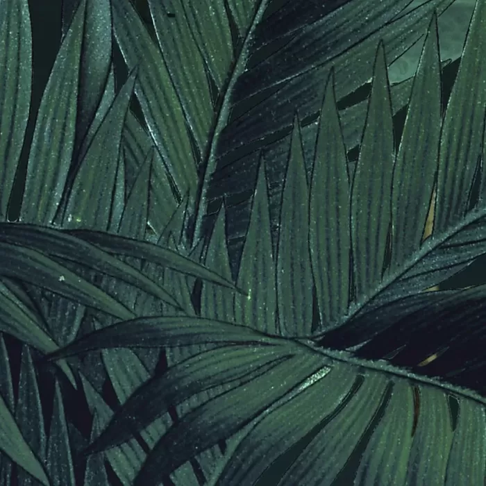 X4-1027 Jungle Night 200*250cm - img 2